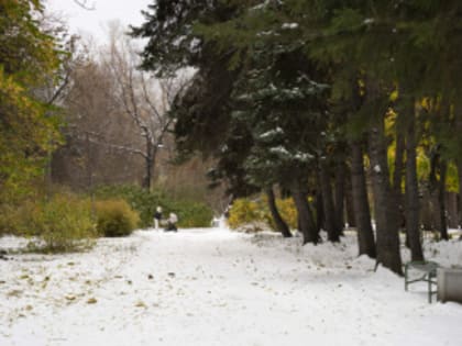 Обновление Дендрологического парка в Екатеринбурге