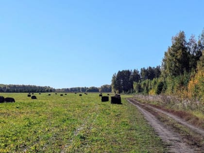 Свердловская область получает дополнительные субсидии для развития