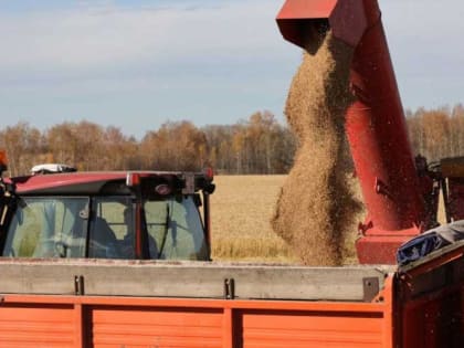 Уборочная кампания: результаты и прогнозы