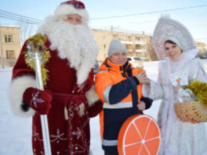 Мандариновое настроение в посёлке Таёжный