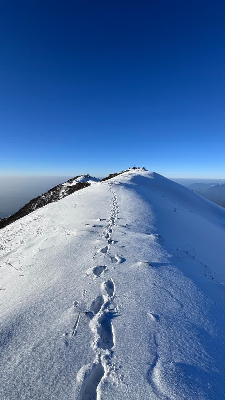 Mardi Himal Trek is an extremely beautiful destination in the Annapurna region.