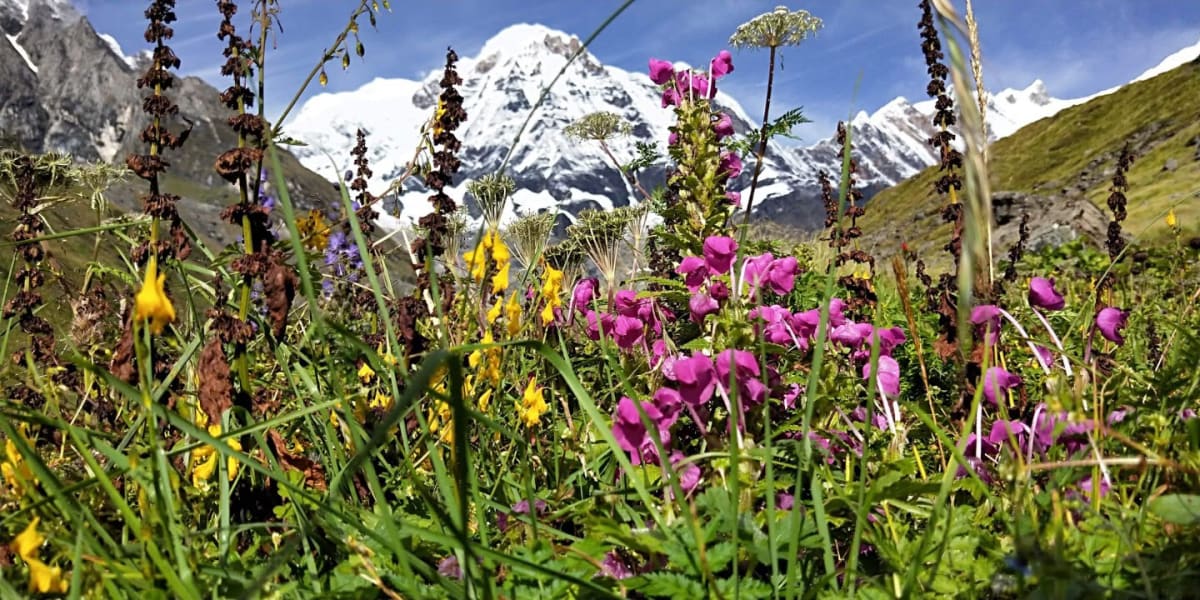 Annapurna Circuit Treks - 14 Days