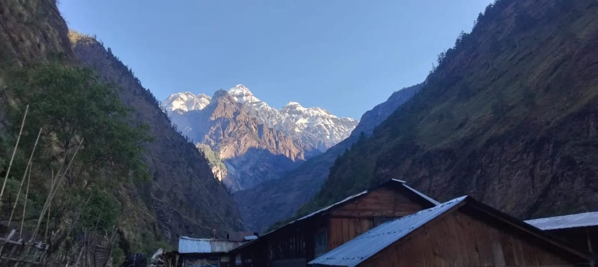 Wildlife and Culture on the Manaslu Circuit Trek