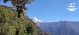 Mardi Himal Trek Difficulty: Day-by-Day Guide (2026/27)