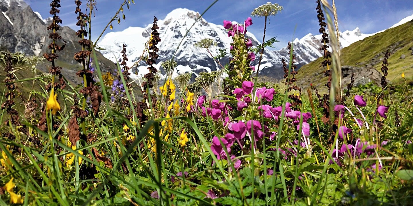 Annapurna Base Camp Short Trek - 9 Days photo 5