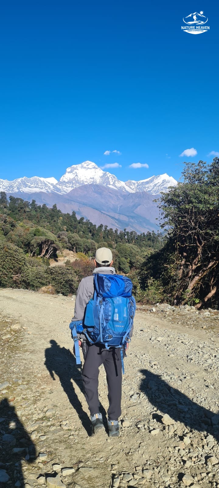 Poon Hill Trek - 7 Days gallery 3