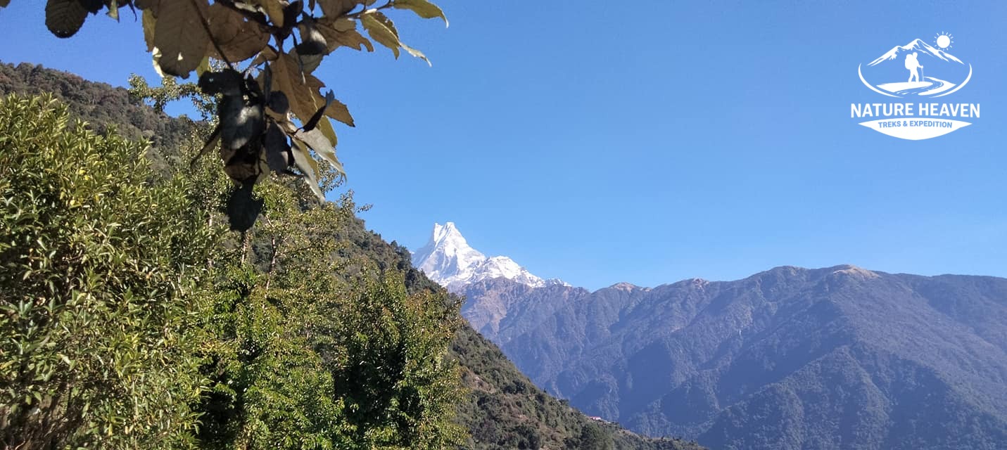 Mardi Himal Trek - 7 Days gallery 1
