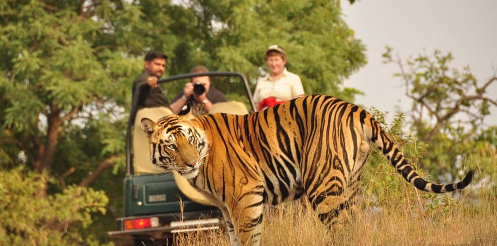 Bardiya National Park Jungle Safari – 3 Days gallery 2