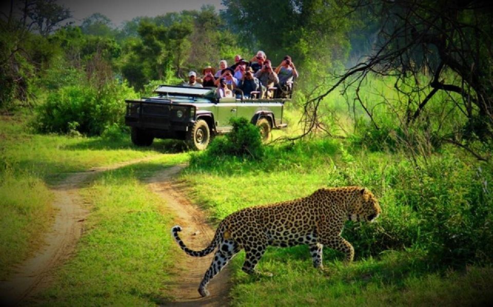 Bardiya National Park Jungle Safari – 3 Days gallery 3