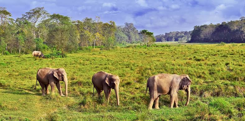 Bardiya National Park Jungle Safari – 3 Days photo 5