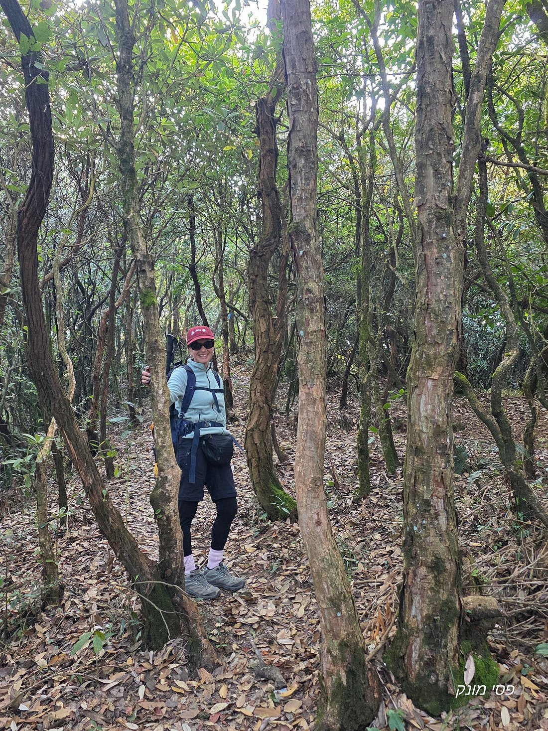 Kathmandu Nagarkot with Sunrise Tour – 3 Days gallery 2