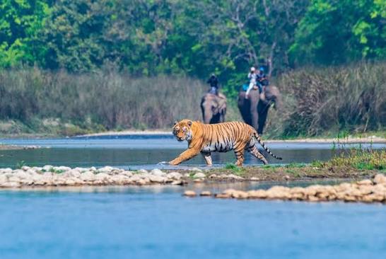 Chitwan National Park -3 Day - Main Photo