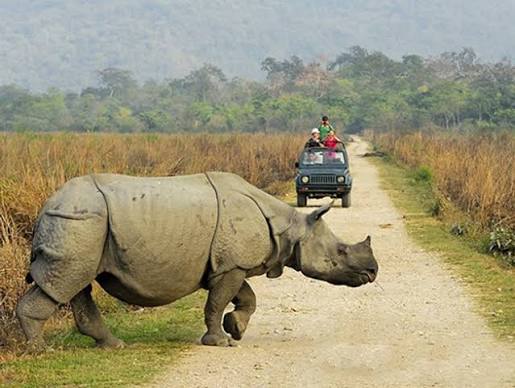Chitwan National Park -3 Day gallery 1