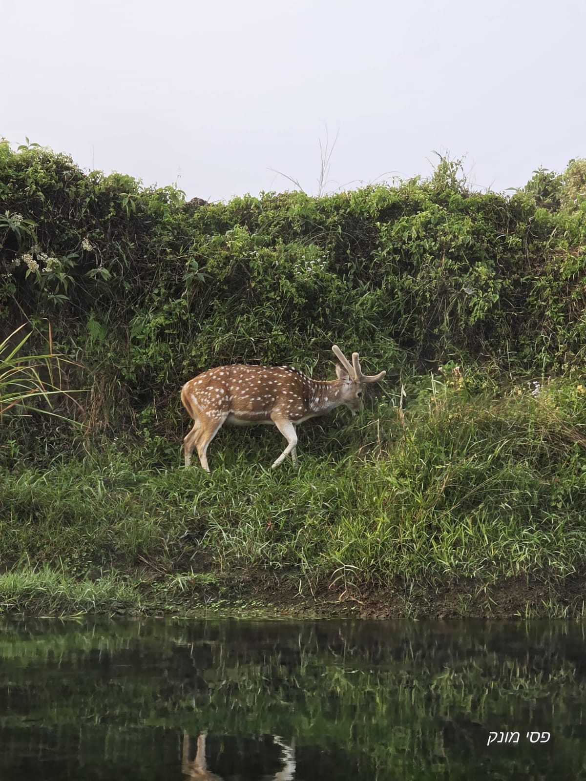 Chitwan National Park -3 Day gallery 2