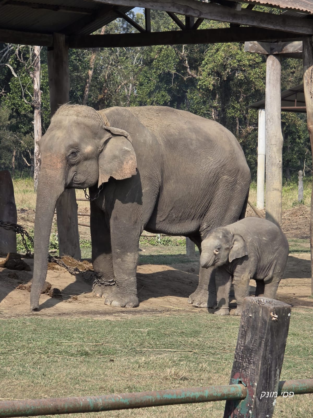 Chitwan National Park -3 Day gallery 3