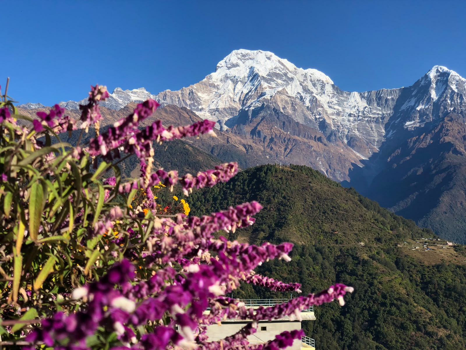 Poon Hill Trek - 7 Days photo 5