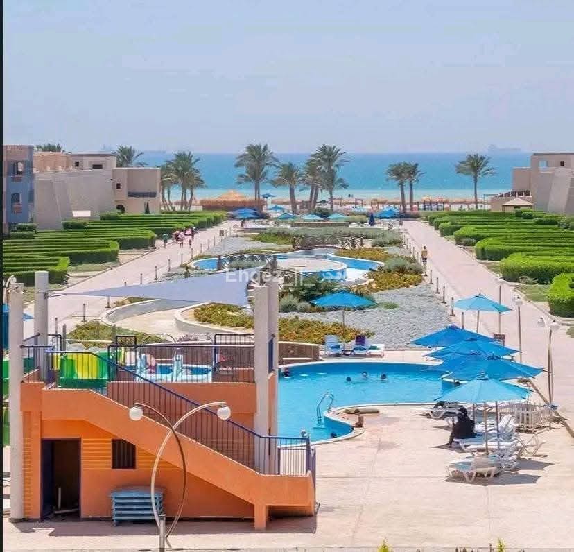 صورة الوحدة