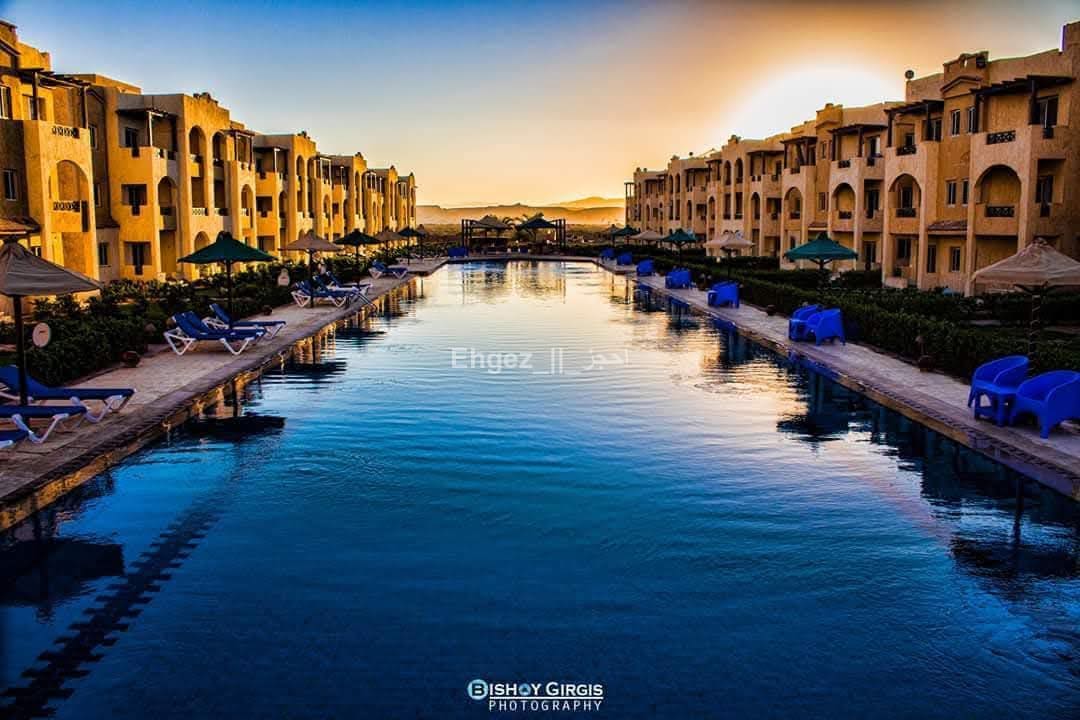 صورة الوحدة