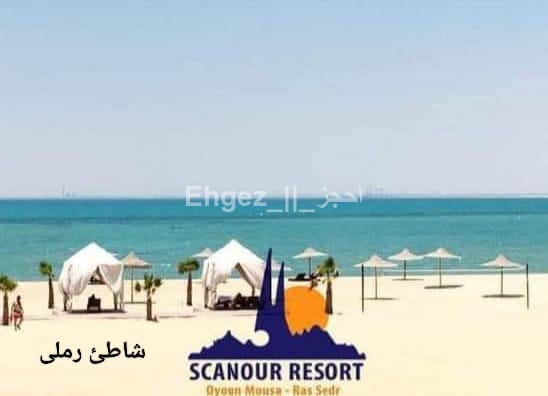 صورة الوحدة