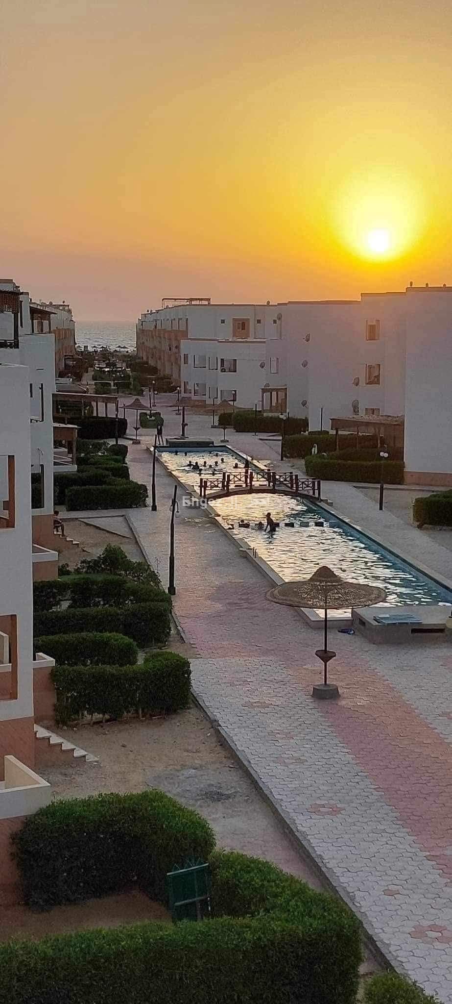 صورة الوحدة