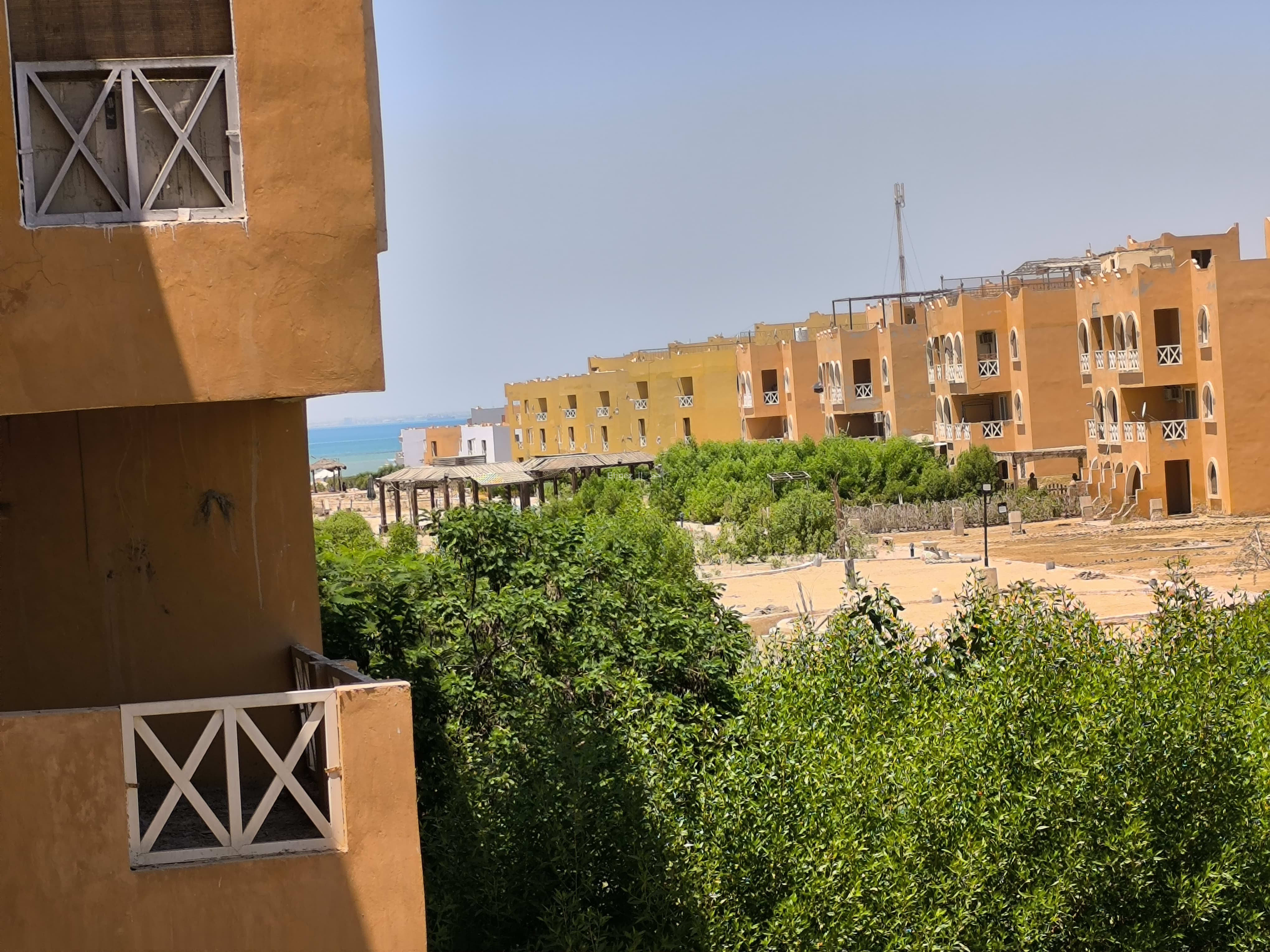 صورة الوحدة