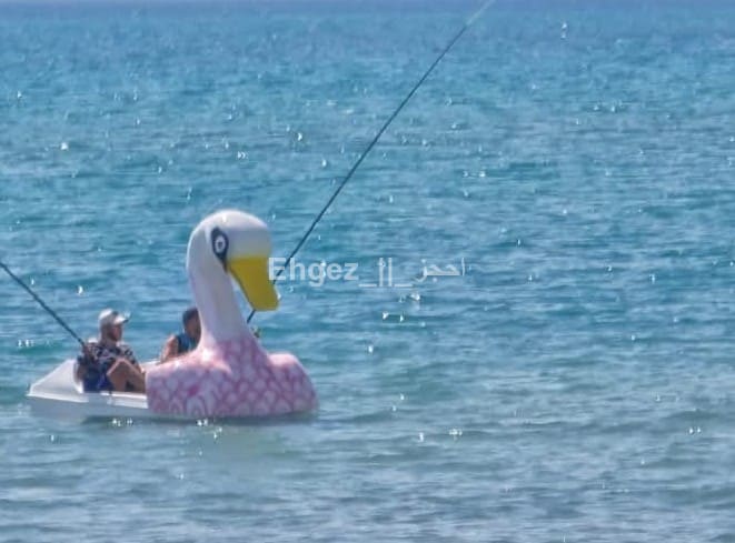 صورة الوحدة