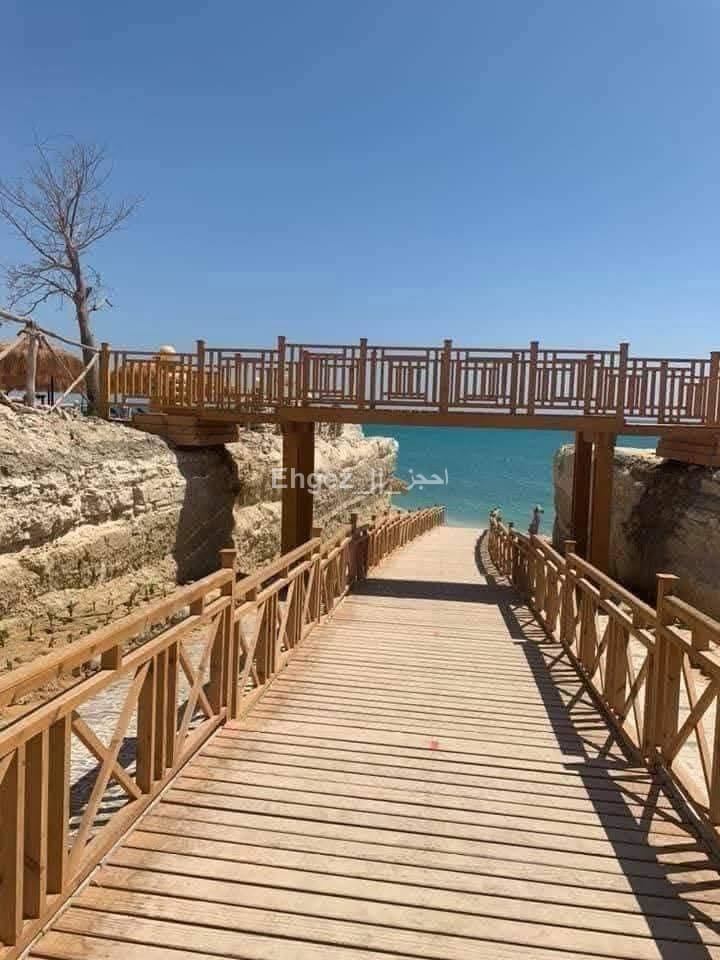صورة الوحدة
