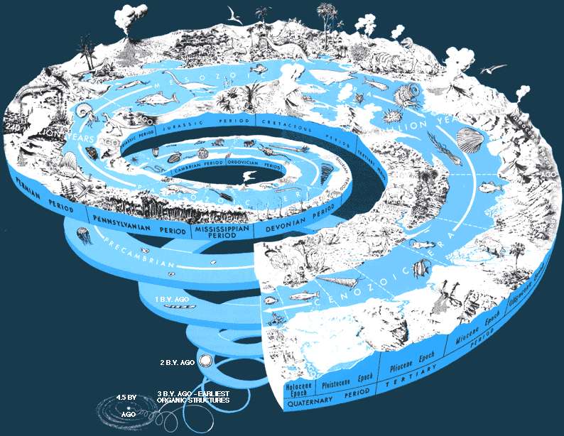 From the Stone Age to the Digital Age
