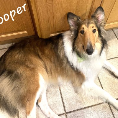 Cooper photo