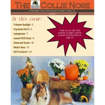 Collie Nose Fall 2017 Newsletter cover