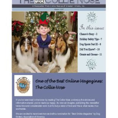 Collie Nose Holiday 2017 cover