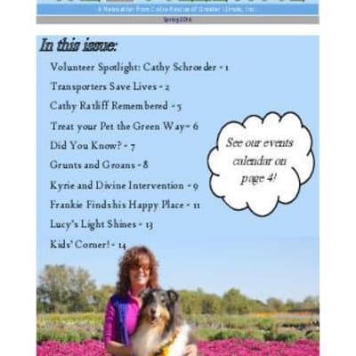 Collie Nose Spring 2017 cover