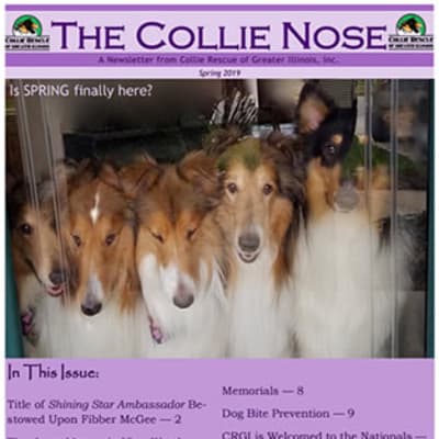 Collie Nose Spring 2019 Newsletter cover