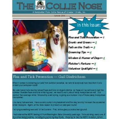Collie Nose Summer 2016 Newsletter cover
