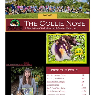 Collie Nose Fall 2025 Newsletter cover