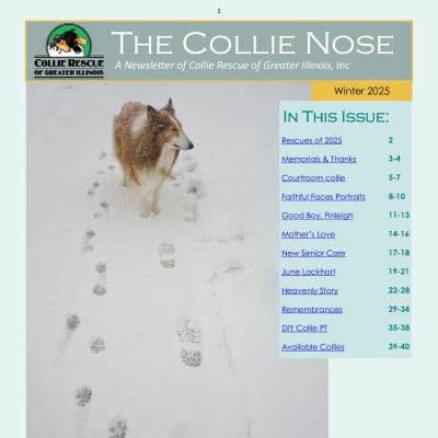 Collie Nose Winter 2025 Newsletter cover