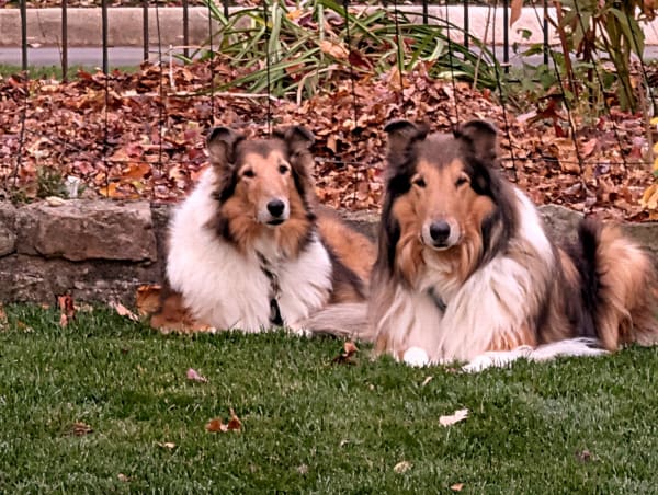 Kirby photo #2