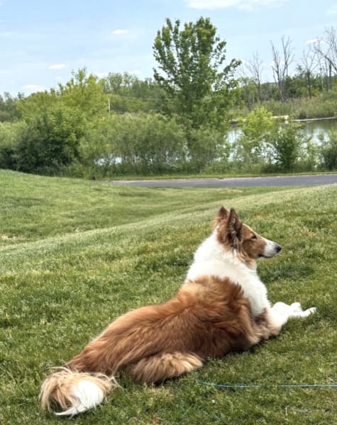 Sasha photo #3