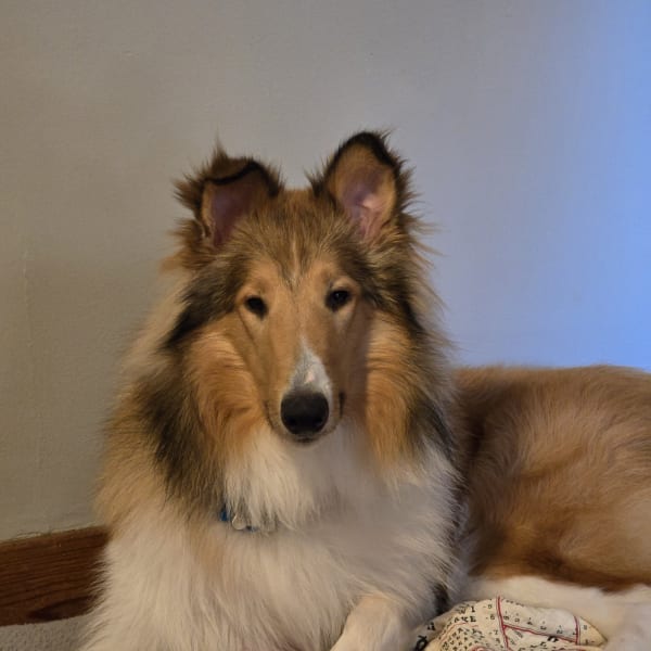 Murray photo #17