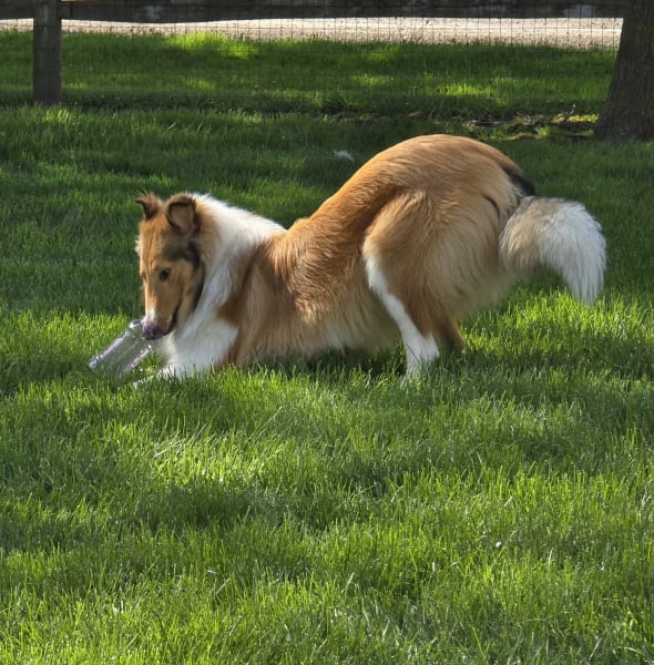 Murray photo #3