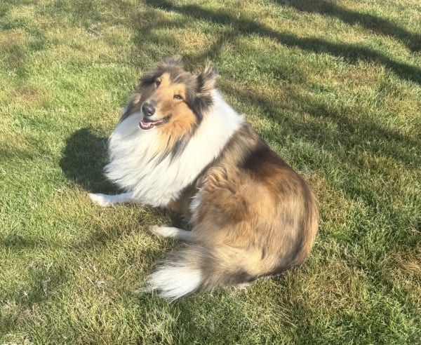 Cassie photo #1