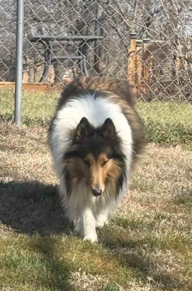Cassie photo #2