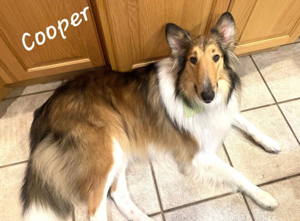 Cooper photo