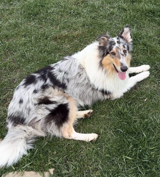 Sophie photo #3