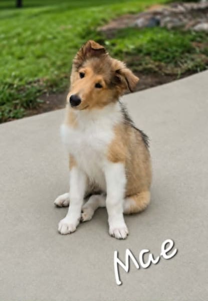 Mae photo