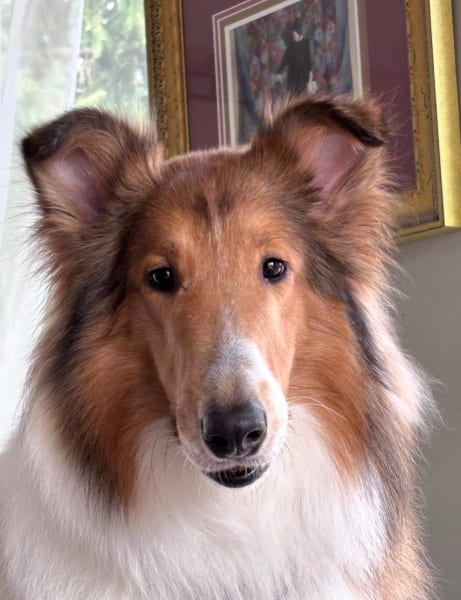 Sadie