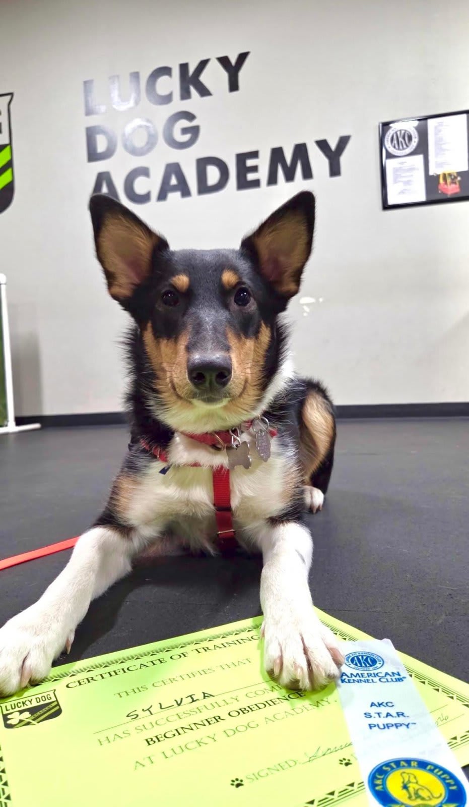 Preview of the completed puzzle image