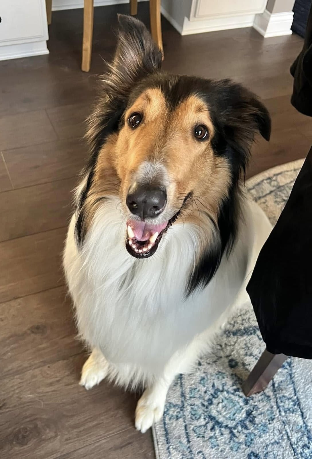 Preview of the completed puzzle image