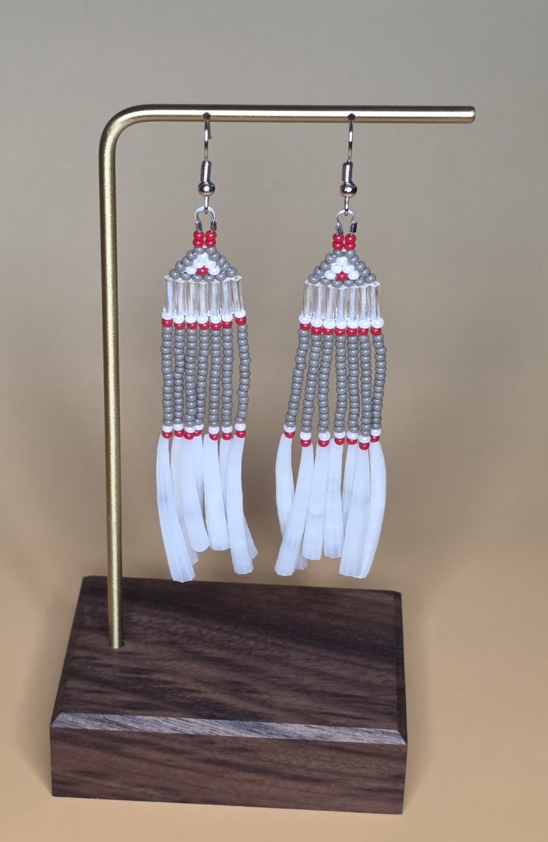 Fringe Earrings — January Frost