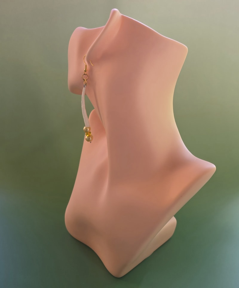 Dentalium Earrings — Late Afternoon Gold